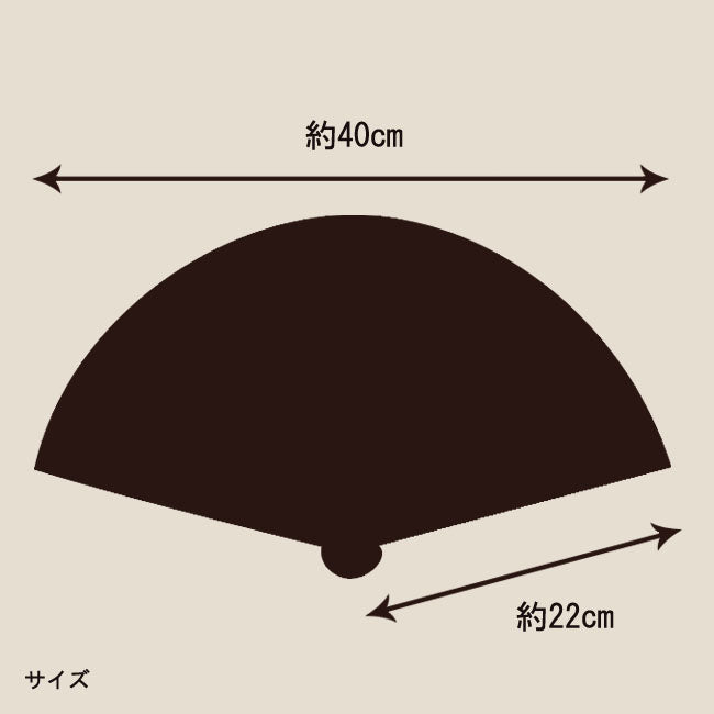 Black Dragon Folding Fan